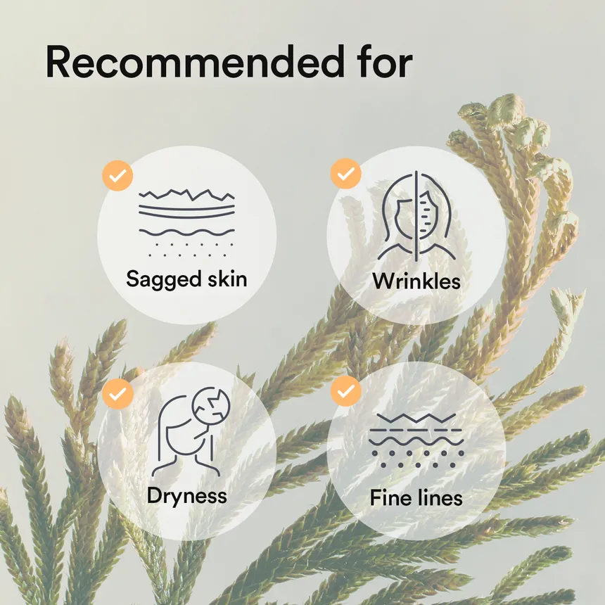 ABIB Collagen Gel Mask Jericho Rose Jelly - 35gr - Image 8